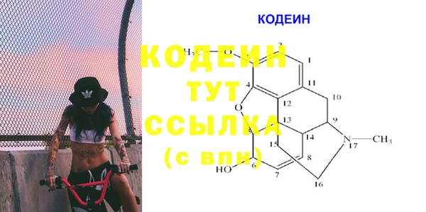 дживик Абаза