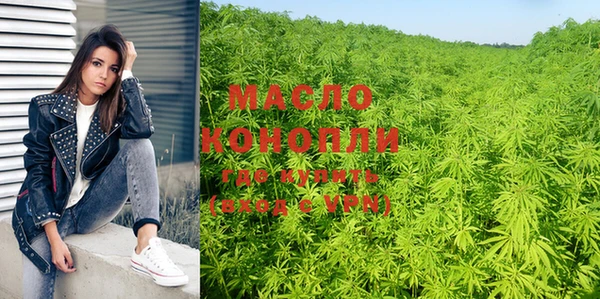 дживик Абаза