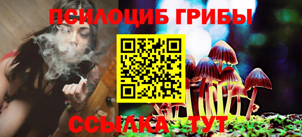 купить закладку  Вход с VPN  Галлюциногенные грибы мицелий  Кострома  Псилоцибиновые грибы мухоморы 